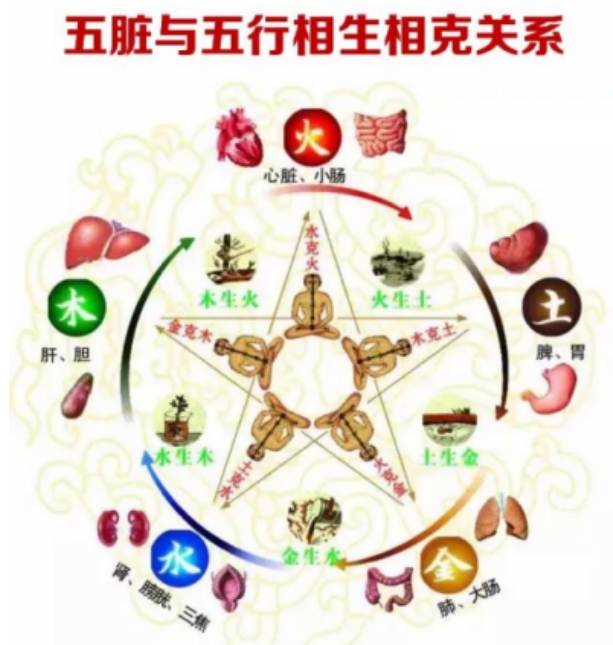 中医国手王旭东详解：为什么你的皮肤病总治不好？