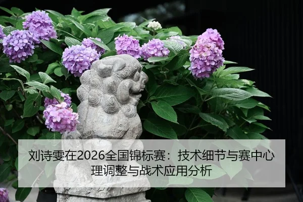 刘诗雯在2026全国锦标赛：技术细节与赛中心理调整与战术应用分析
